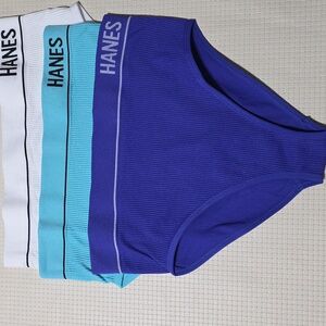 NWT 3 Hanes Ribbed‎ Bikini Purple, Blue And White Large